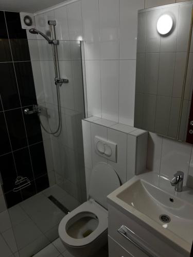 a bathroom with a shower and a toilet and a sink at Tesla Apartman in Risan