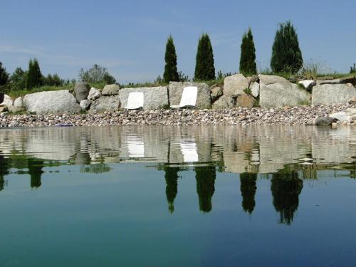 a body of water with rocks and trees in the background at Birkholmhof in Bärnau