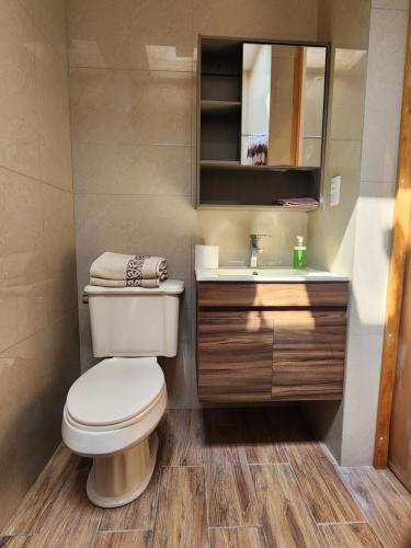 a bathroom with a toilet and a sink at Villa Alfonsina in Mexico City