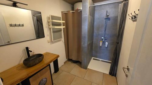 a bathroom with a shower and a sink at Gîte citadin de l'Entreville in Lobbes