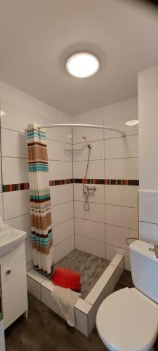 a bathroom with a shower and a toilet at Chyba Wyspa, Ostrowo in Ostrowo