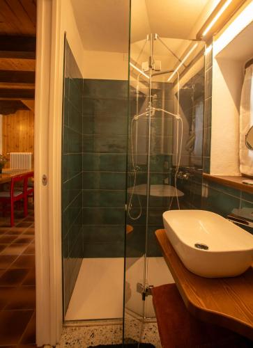 a bathroom with a sink and a glass shower at Casera Marisa Nevegal in Nevegal