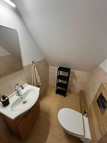 a bathroom with a sink and a toilet at Za Bocianami- domki w Bartoszymlesie in Stara Kiszewa