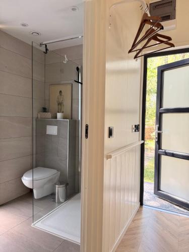 a bathroom with a toilet and a glass door at WieloHome in Wielogóra
