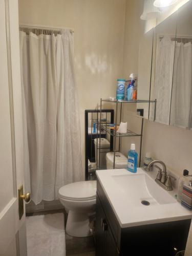 a bathroom with a white toilet and a sink at Plantlife LLC Lodge U room in Minneapolis