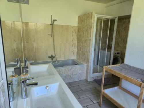 a bathroom with a sink and a bath tub at Gites les marronniers in Marigny