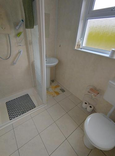 a bathroom with a shower and a toilet and a sink at Kates coastal cottage in Aillemore