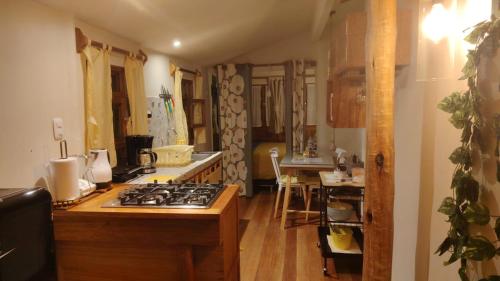 a kitchen with a stove and a counter top at Quinua Boutique Apartments in Cusco
