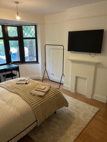 a bedroom with a bed and a fireplace with a flat screen tv at Newly Refurbished House in Norwood