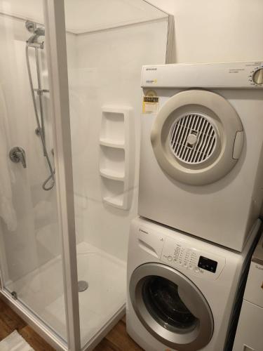a washing machine in a bathroom with a shower at Larsen Apartment in Palmerston North