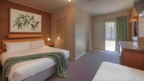 a hotel room with a bed and a television at Paruna Motel in Swan Hill