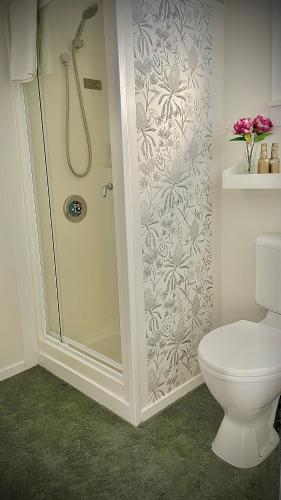 a bathroom with a shower and a toilet at Bavaria Boutique Hotel in Auckland