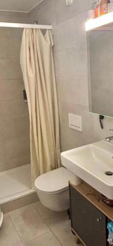 a bathroom with a toilet and a shower and a sink at Appartement Cosy Centre ville in Fribourg