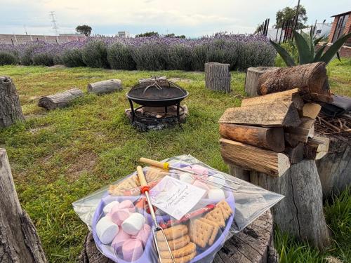 a plate of food next to a grill at Glamping Rincón de Lavanda in Texcoco de Mora