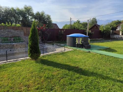 a garden with a gazebo in a yard at Pensiunea Casa Nina in Cârțișoara