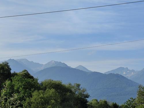 a view of mountains with power lines and trees at Pensiunea Casa Nina in Cârțișoara