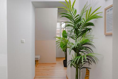 New Boho Design Altstadt Studio - Free Parking by HERO HOMES Graz