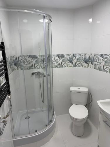 a bathroom with a shower and a toilet and a sink at POKOJE -KWATERY Chodecz Waryńskiego 2A in Chodecz
