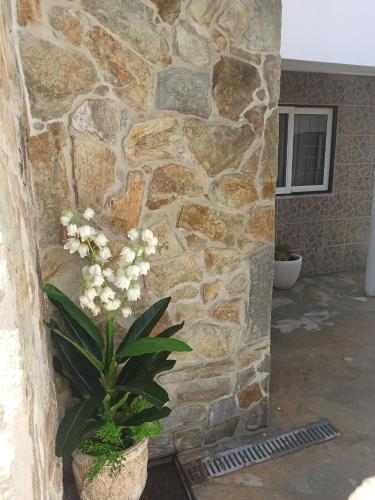 a stone wall with a plant in a pot at Casa 56 in Sardoal