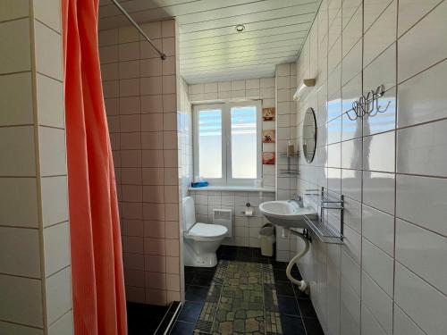a bathroom with a toilet and a sink at Seedri Guesthouse in Pärnu