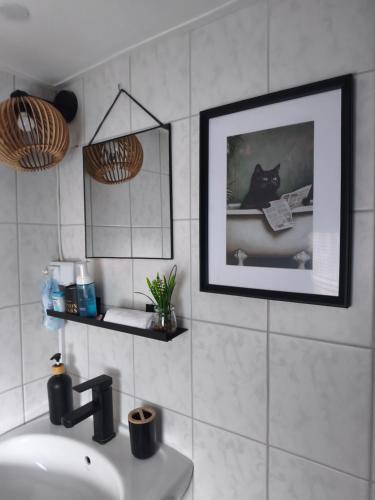ein Badezimmer mit Waschbecken und einer schwarzen Katze auf einem Bild in der Unterkunft Domeczek in Sulęczyno