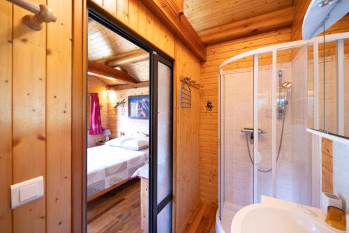 ein Badezimmer mit Dusche und ein Bett in einem Zimmer in der Unterkunft La Datcharle in Pugny-Chatenod