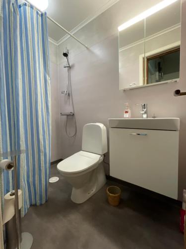 a bathroom with a toilet and a shower curtain at 5ans rum Gunghästen in Skellefteå