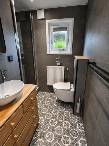 a bathroom with a sink and a toilet in it at Chalet Aan de rand - Veluwe - met sauna in Putten