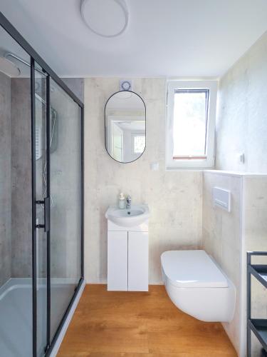 a bathroom with a toilet and a sink and a mirror at Dywanowy Zakątek in Sominy