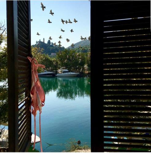 a flock of birds flying over a lake at Hostel Dubrovnik Center Free Parking in Dubrovnik