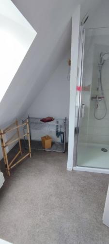 an attic bathroom with a shower and a shower at Double gite, Duplex et Chaleureuse petite maison in Beaumont-sur-Sarthe