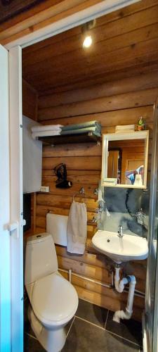 a bathroom with a toilet and a sink at Solar eclipse Iceland Small studio in Kjalarnes in Reykjavík