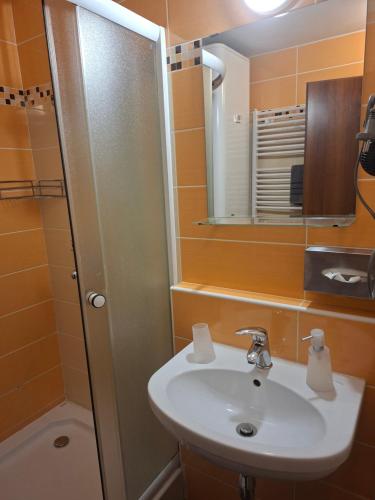 a bathroom with a sink and a mirror and a shower at Apartments 17 - 23 AD Kamzík in Donovaly