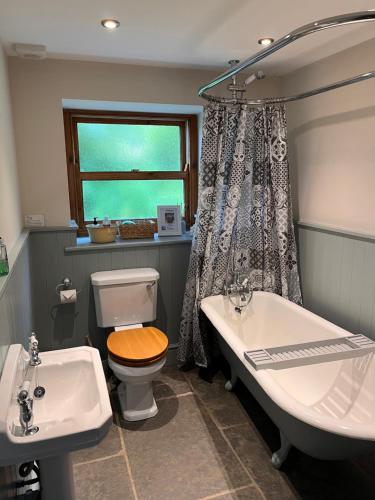 a bathroom with a tub and a toilet and a sink at Danygraig Cottage in Carmarthen