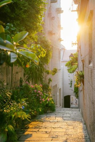 Apartments Milion