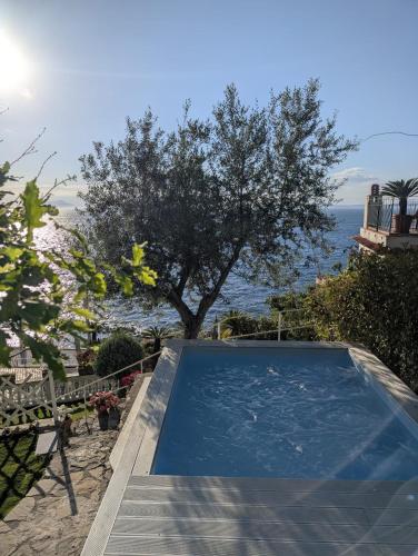 a swimming pool with a tree in the background at La Maison De La Ville in Massa Lubrense
