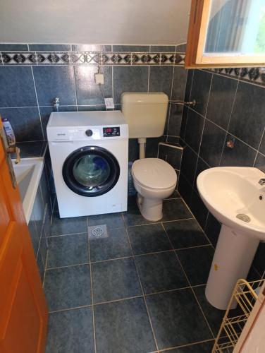 a bathroom with a washing machine and a toilet at Sara in Kamenari