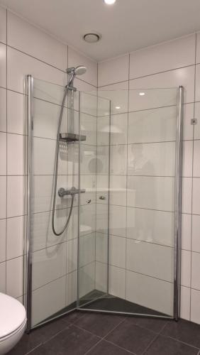 a glass shower in a bathroom with a toilet at Seabreeze Suite in Arendal