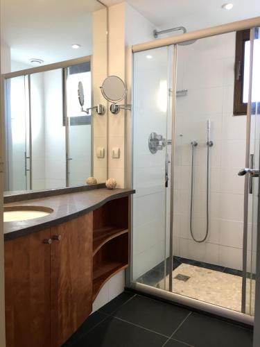 a bathroom with a glass shower and a sink at Lac paradisiaque in Duingt
