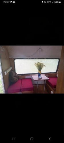 a small room with a table and a vase with a plant at kamp andrea in Šavnik