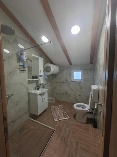 a bathroom with a toilet and a shower and a sink at Apartmani Suvodoli in Rvaši