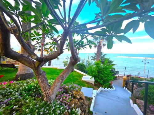 Apartamento en Benalmádena en la playa con piscina Frontal al mar