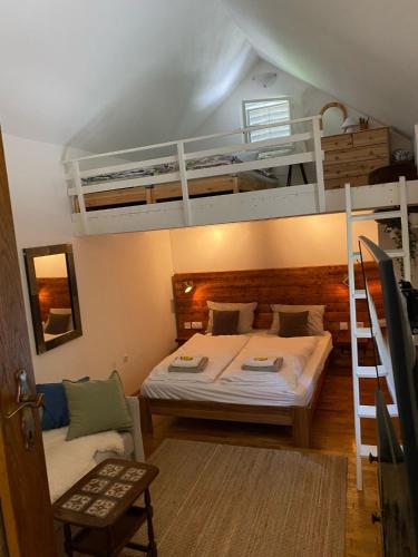 a bedroom with two bunk beds and a couch at Thermal Corner Guesthouse in Alsópáhok