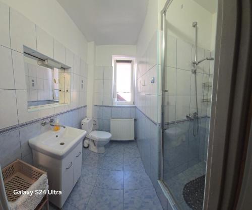 a bathroom with a toilet and a shower and a sink at UniBal - pokoje gościnne in Unieście