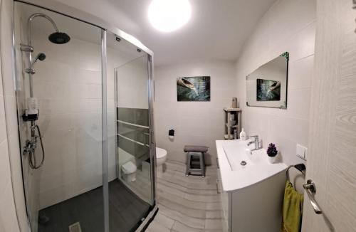 a bathroom with a shower and a sink and a toilet at MERAKI in Fisterra