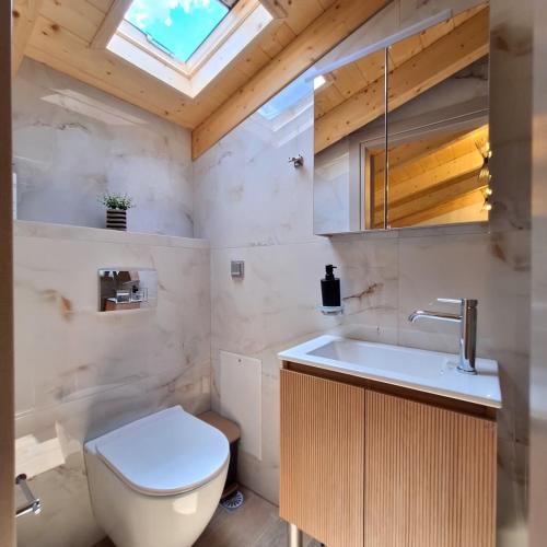 a bathroom with a toilet and a sink and a skylight at Dream Time Villas Vasiliki in Vasiliki