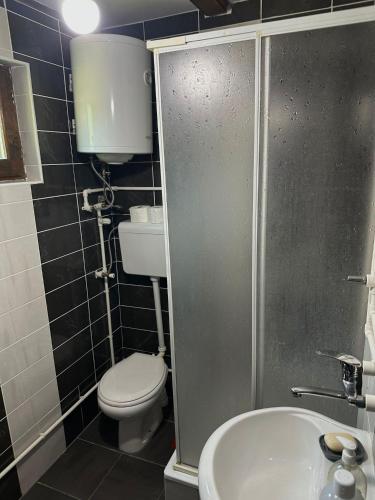 a small bathroom with a toilet and a sink at Vikendica Jagoš in Mitrovac