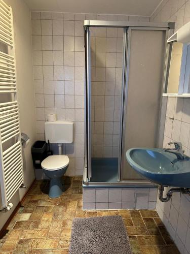a bathroom with a shower and a toilet and a sink at Landhaus Butzbach in Butzbach