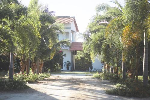a house with palm trees lining a driveway at Vila hangloose vista da lagoa in Acaraú