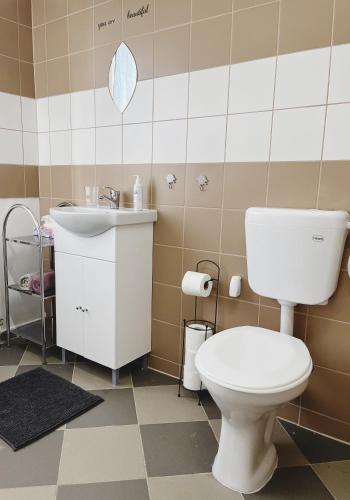 a bathroom with a toilet and a sink at Téesz Vendégház in Zalaháshágy